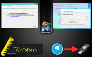 WInToFlash