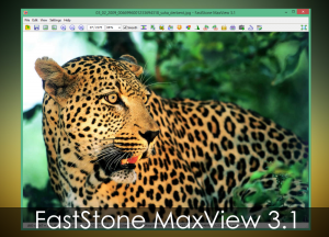 FastStone MaxView