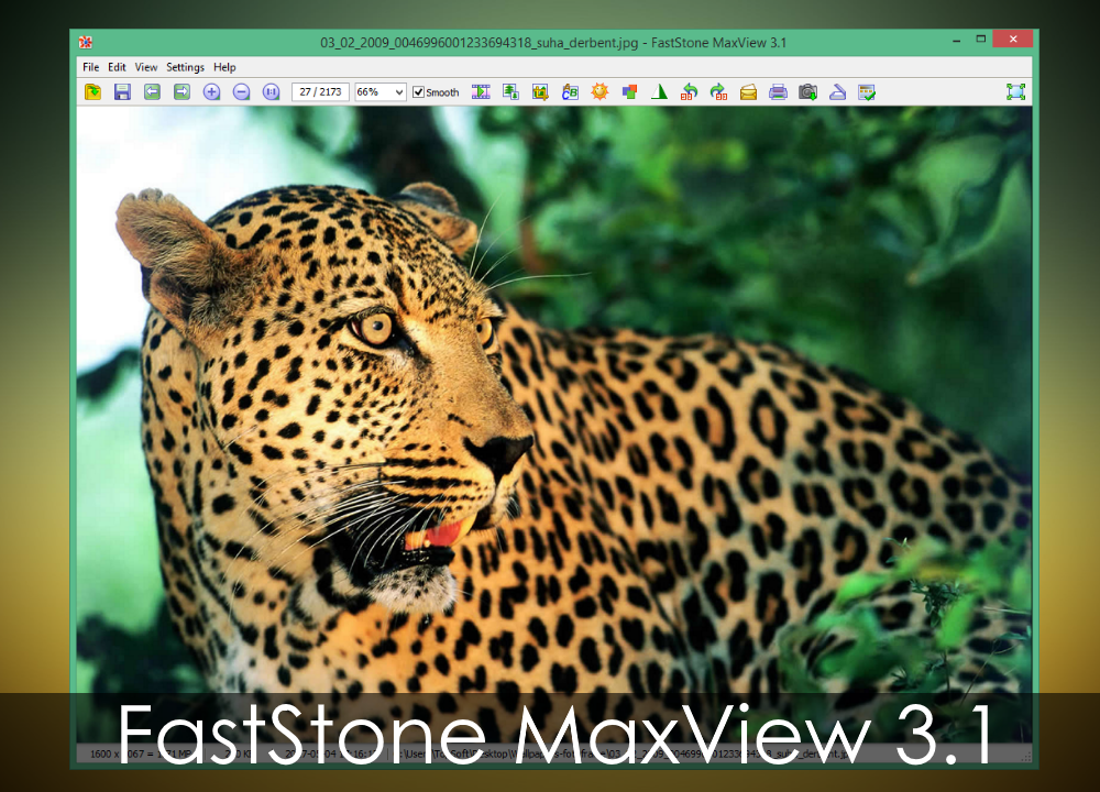 FastStone MaxView 
