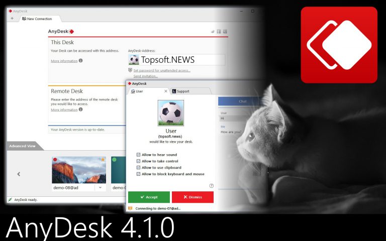 AnyDesk 8.0.4 instal