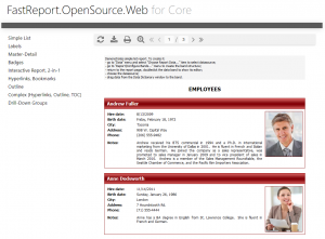 FastReport Open Source Web