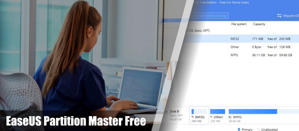 easeus partition master professional vn-zoom